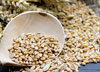 Barley